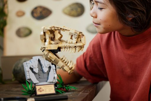FOSSILI DI DINOSAURO 76964 - JURASSIC WORLD - LEGO - immagine 4