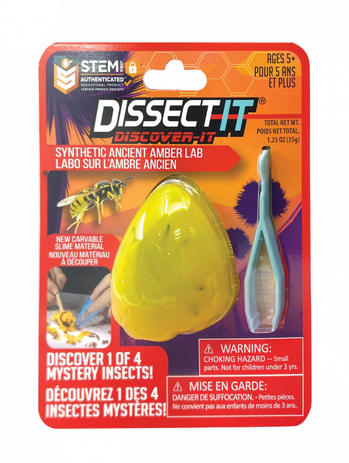 DISSECT-IT DISCOVERY - TRENDALLIANCE - immagine 3