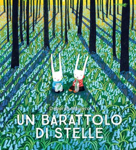 UN BARATTOLO DI STELLE - ED. A COLORI - LIBRO