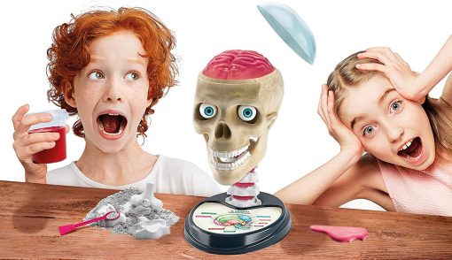 ANATOMIA FUORI DI TESTA - ITALIANO - CLEMENTONI - immagine 5