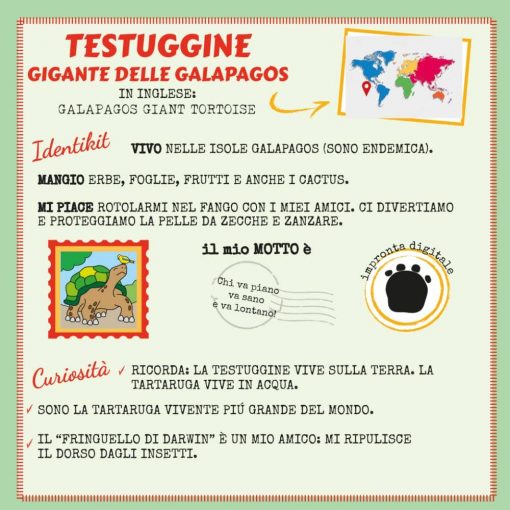 LIBRO DA COLORARE - KOLORAMI - immagine 5