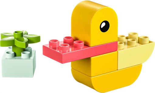 LA MIA PRIMA ANATRA - 30673 - LEGO - immagine 2