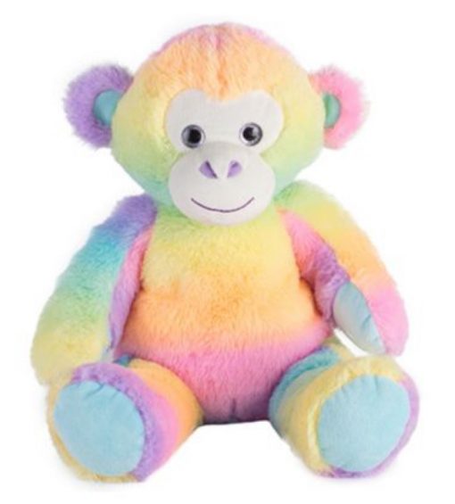TEDDY MONKEY RAINBOW