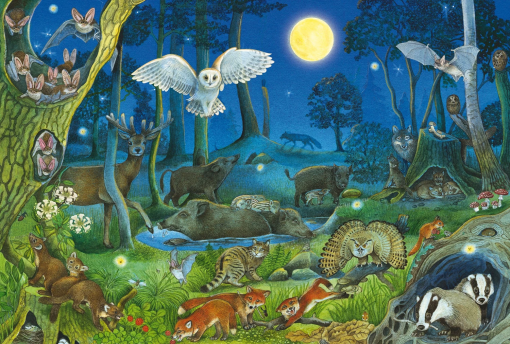 PUZZLE ANIMALI NOTTURNI NELLA FORESTA 100 PZ - SCHMIDT
