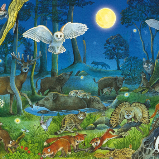 PUZZLE ANIMALI NOTTURNI NELLA FORESTA 100 PZ - SCHMIDT