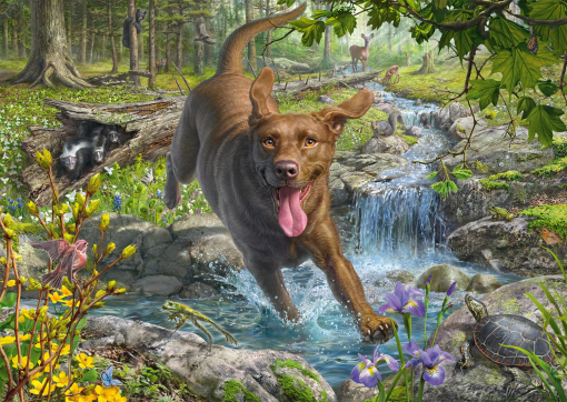 PUZZLE LABRADOR RETRIEVER 1000 PZ - SCHMIDT - immagine 2