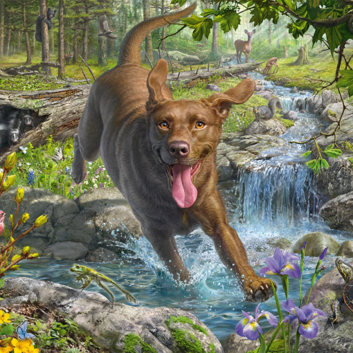 Alternative view of PUZZLE LABRADOR RETRIEVER 1000 PZ - SCHMIDT