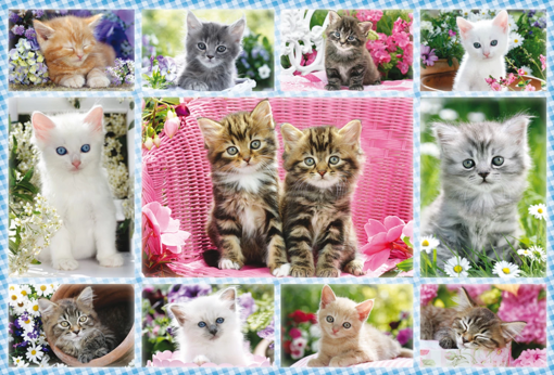 PUZZLE GATTINI 100 PZ - SCHMIDT - immagine 2