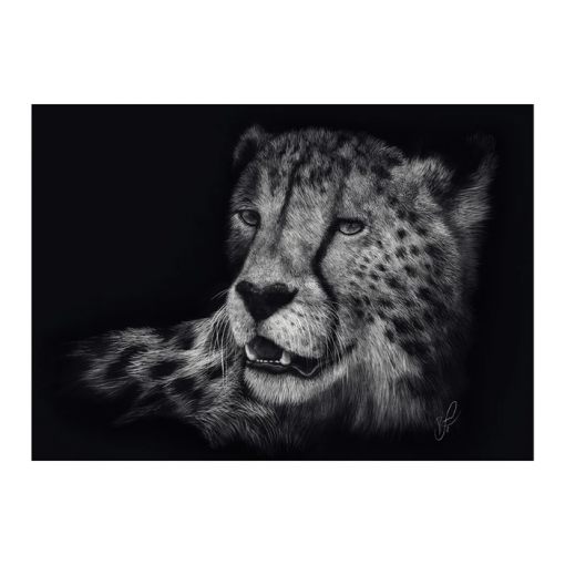 PUZZLE GHEPARDO 1000 PZ - SCHMIDT - immagine 2