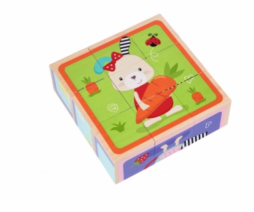 CUBI ILLUSTRATI IN LEGNO ASSORTITI - EICHHORN - immagine 5