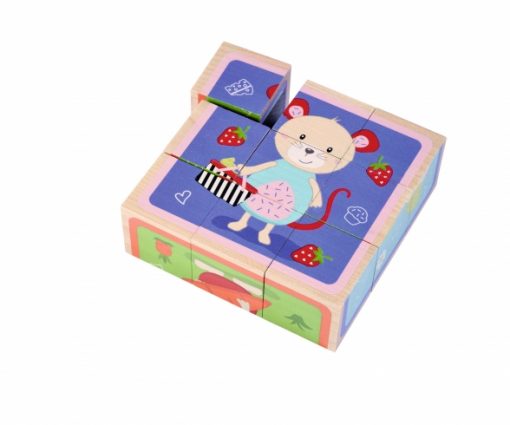 CUBI ILLUSTRATI IN LEGNO ASSORTITI - EICHHORN - immagine 3