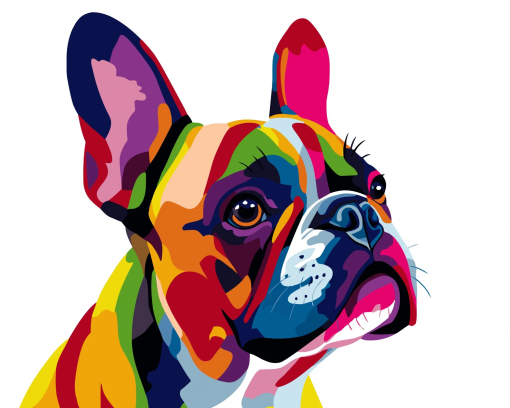 BULLDOG FRANCESE POP ART - PITTURA CON I NUMERI - COLORELLE - immagine 2