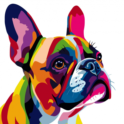 Alternative view of BULLDOG FRANCESE POP ART - PITTURA CON I NUMERI - COLORELLE