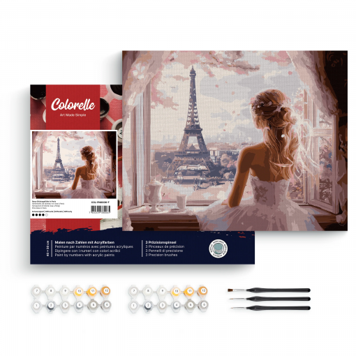 ROSE (PARIGI) - PITTURA CON I NUMERI - COLORELLE