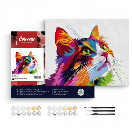 GATTO COCCOLONE POP ART - PITTURA CON I NUMERI - COLORELLE